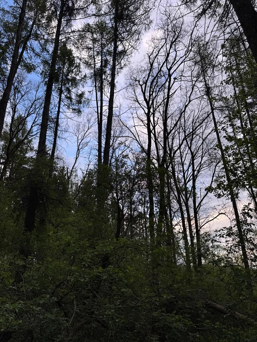 Fotka 5 z 15